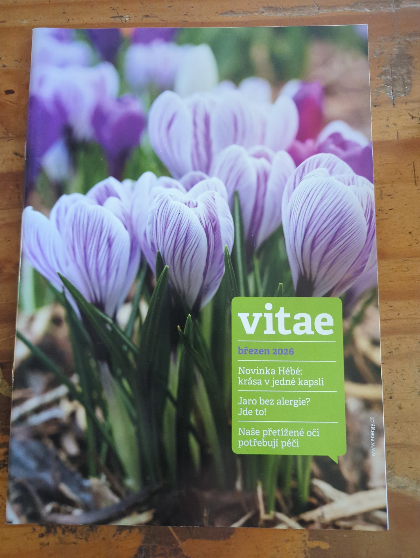 Vitae březen 2026