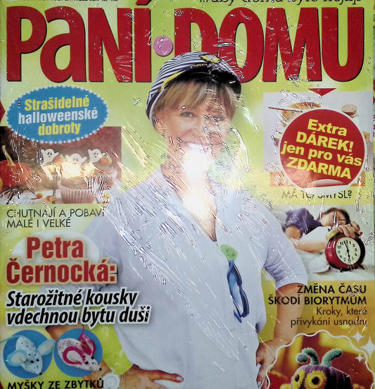 Pani domu 11/2025