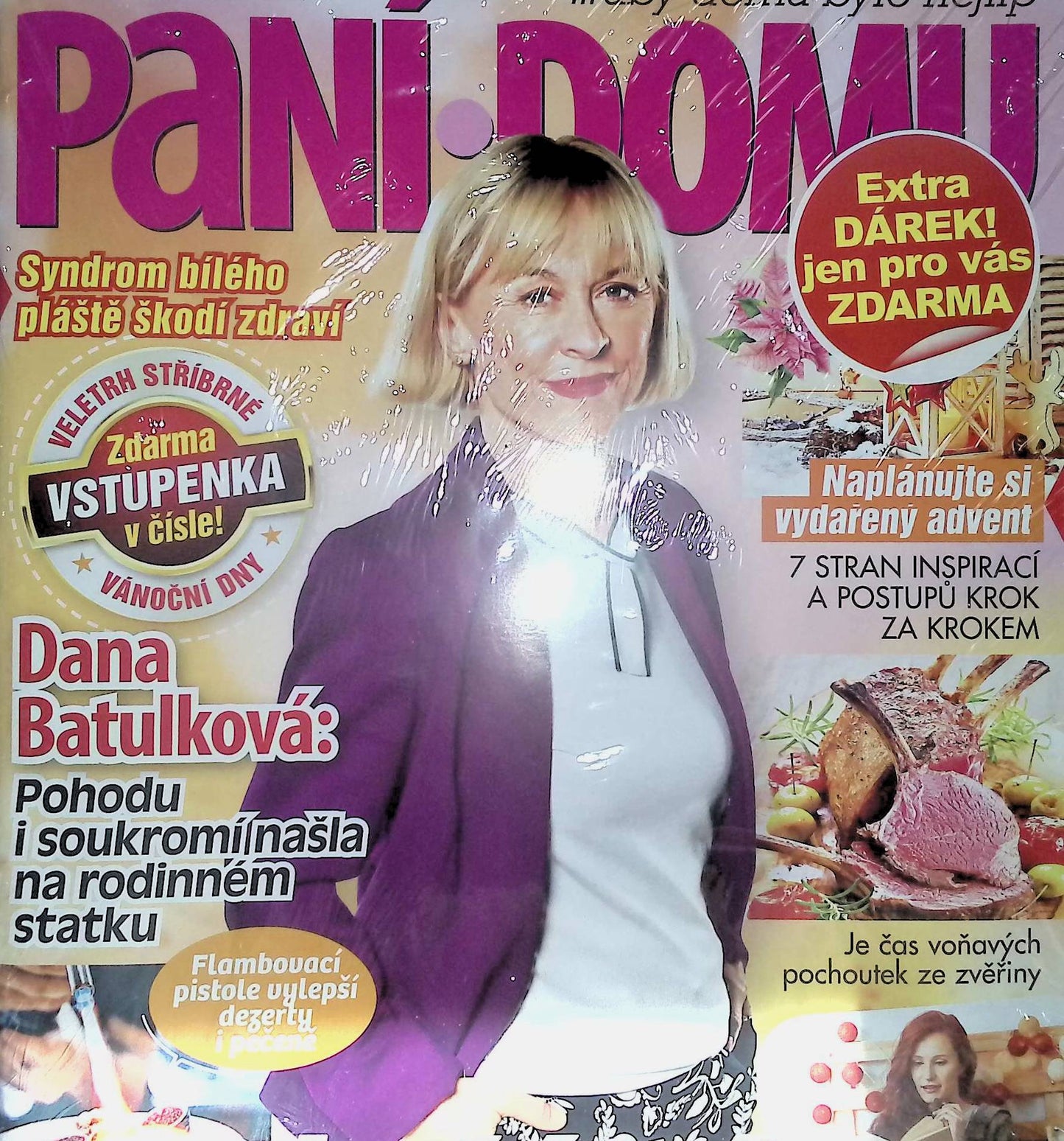 Pani domu 12/2025