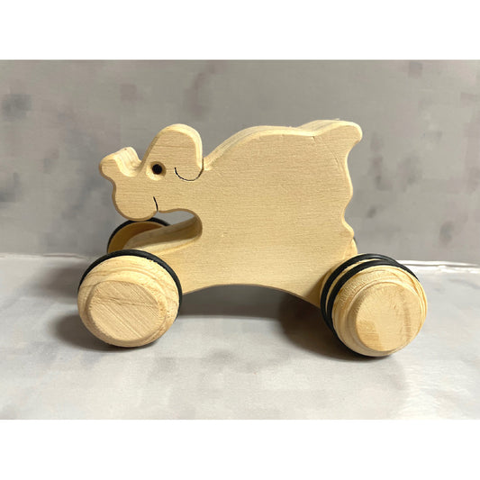 Dog on wheels