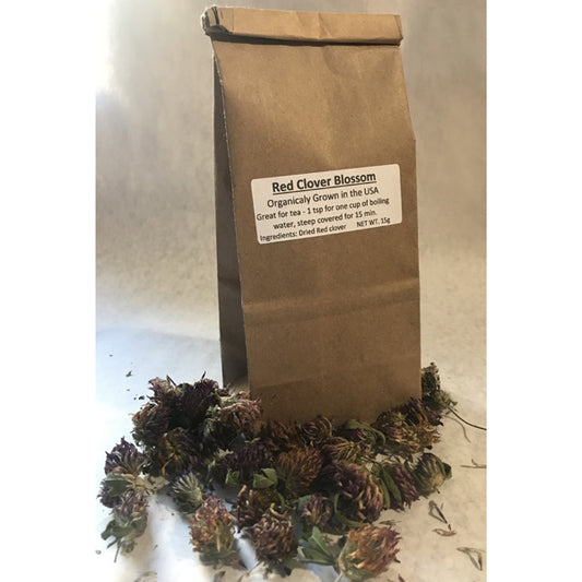 Red Clover Blossom