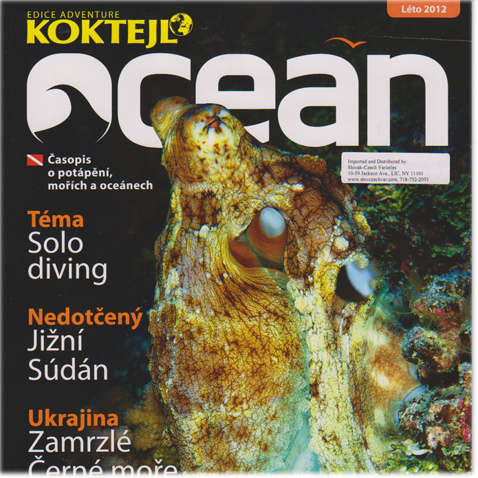 Ocean - 6 month subscription
